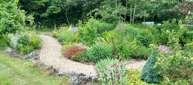 Pathway through Jealott's Hill Community Landshare sensory garden
