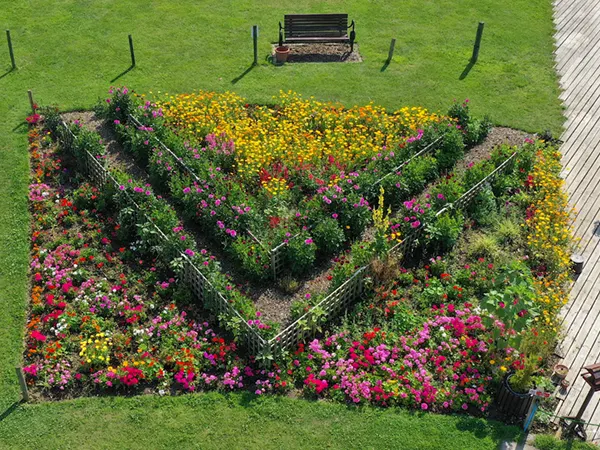 Aerial photo of front flower bed